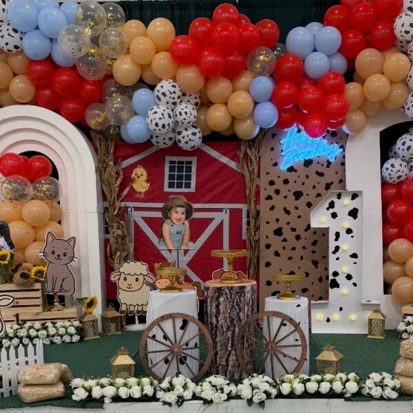 Birthday - Country farm1 decor